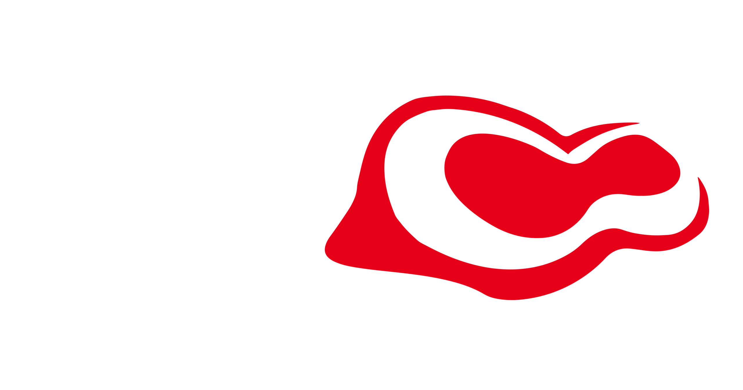White logo Laret